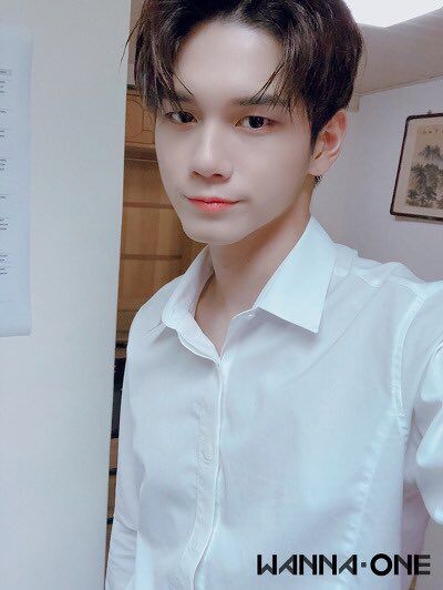 韓国情報サイト 모으다 モウダ 韓国情報サイト 모으다 モウダ